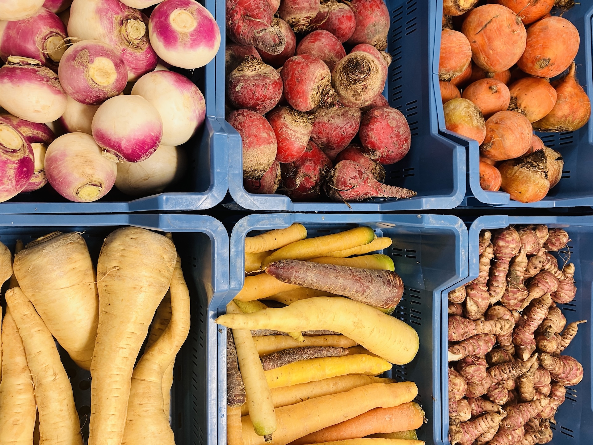 Groente en fruit wijlre